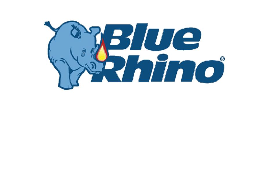 Blue Rhino | UC Davis Graduate School of Management